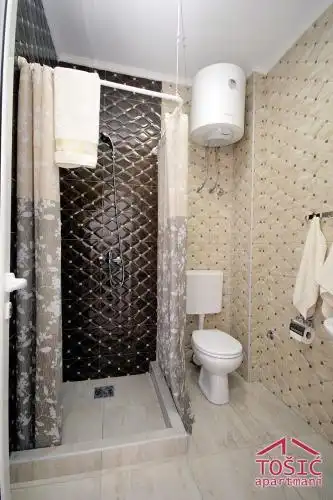 Tosic Apartmani - 65