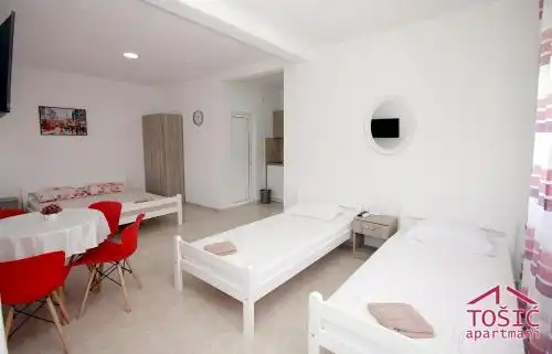 Tosic Apartmani - 71