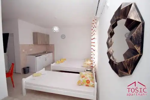 Tosic Apartmani - 74