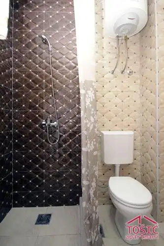 Tosic Apartmani - 42