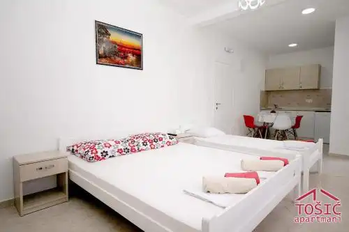 Tosic Apartmani - 44