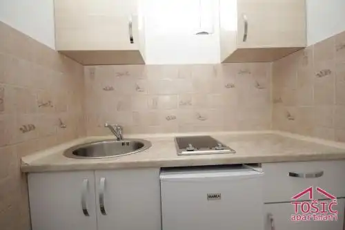 Tosic Apartmani - 30