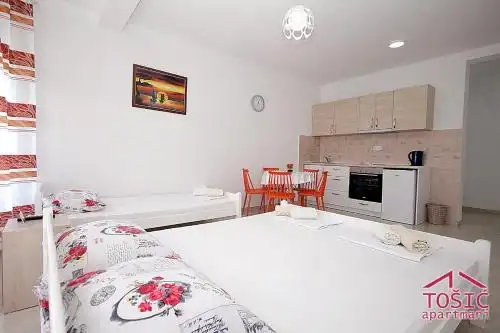 Tosic Apartmani - 17