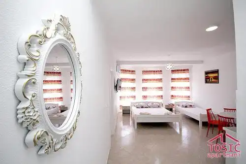 Tosic Apartmani - 27