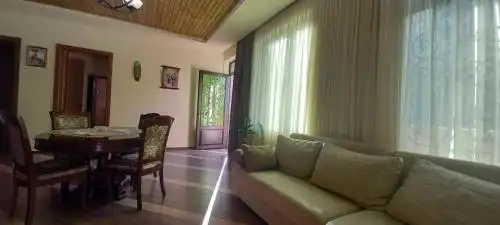 Lisaneli - 41