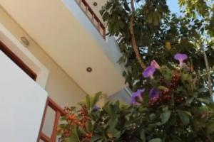 Апартаменты «Alexandra», Сталида