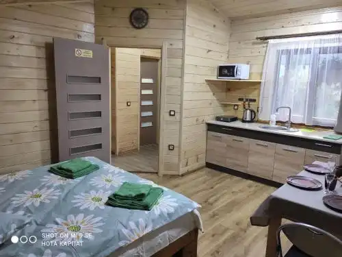 Нота Карпат - 26