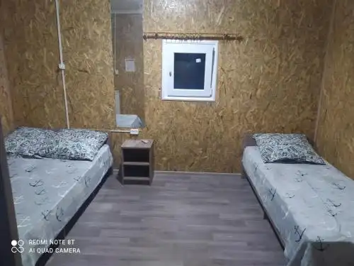 Роза Ветров - 12