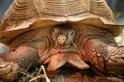 Экогостиница - 27