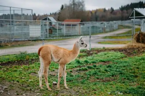 Экогостиница - 30
