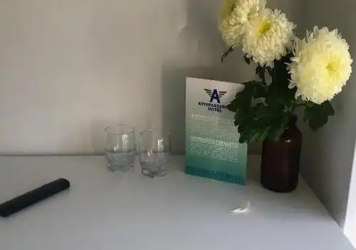 Киевпассервис - 24