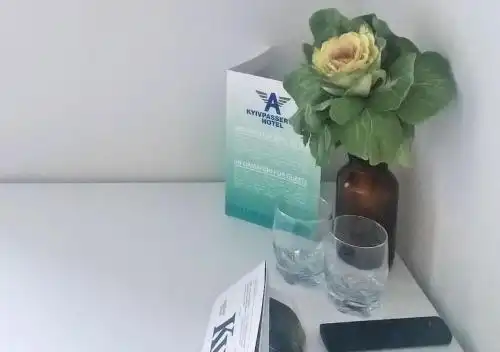 Киевпассервис - 35