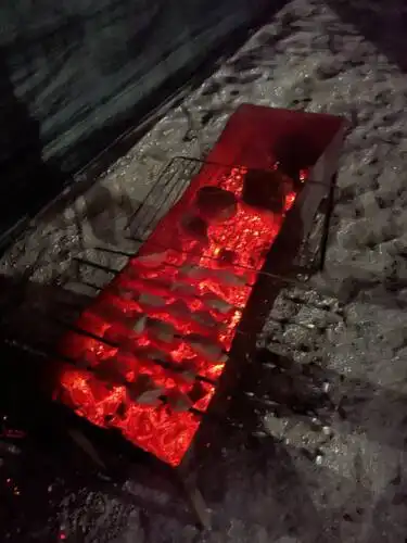Кактус - 12