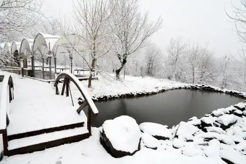 Gabala Shooting Club - 37