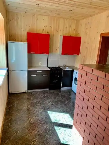 Агроэкоусадьба дом у Припяти - 16
