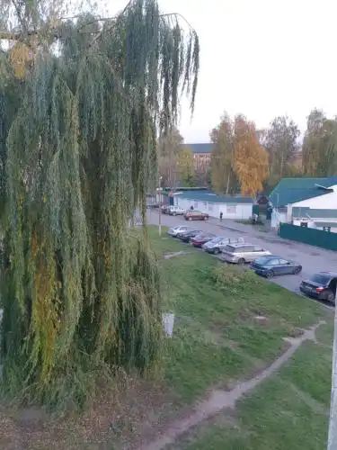 Ул. Центральная 3a-Mango - 10