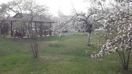 Княжая Гора - 3