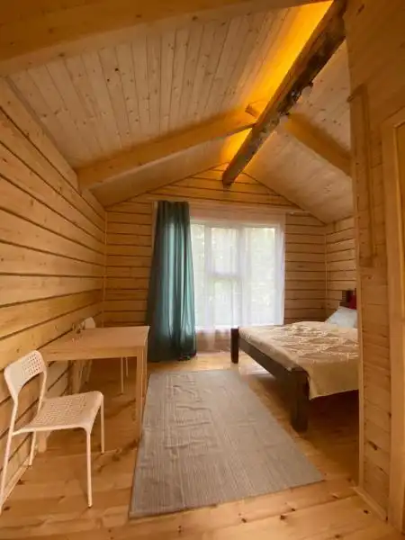 Forest camp - 37