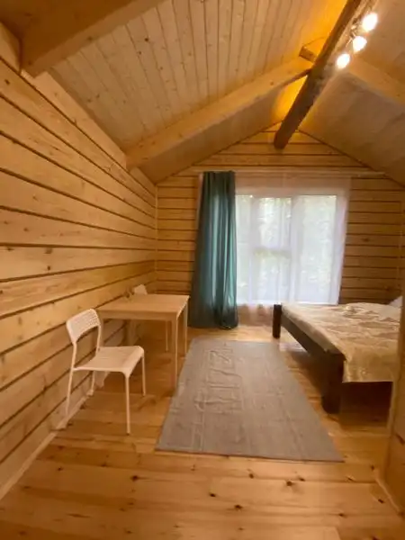 Forest camp - 38