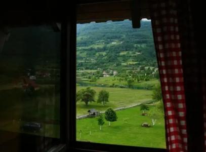 Camp Lake Views - 29