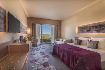 Concorde Luxury Resort & Casino & Convention & Spa - 43