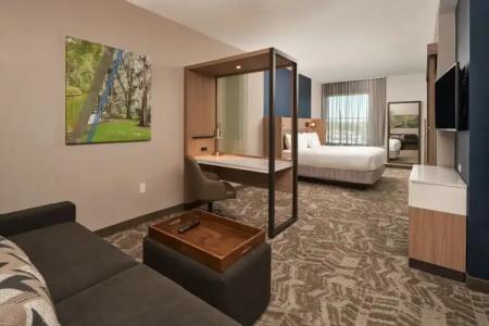 SpringHill Suites by Marriott Winter Park - 16