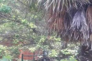 Hotel «Cottage», Мцхета