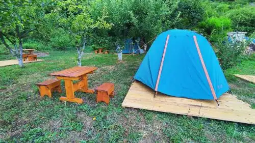 Camp Sunny Hills - 0