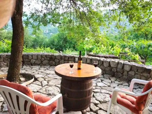 Village house in Sotonici-Crmnica - 0