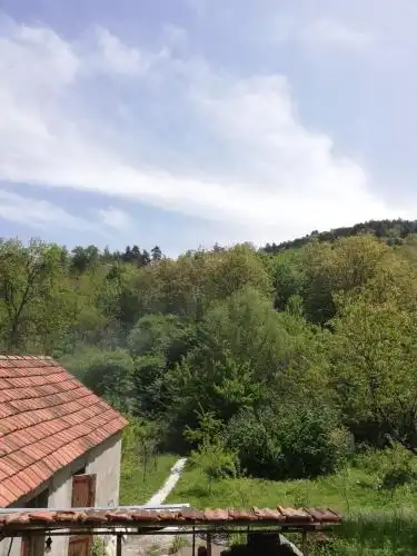 Dilijan Nature - 4