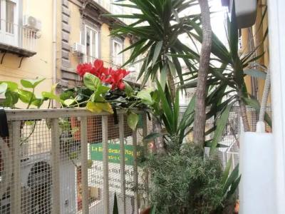 Bed & Breakfast Plebiscito Home - 0