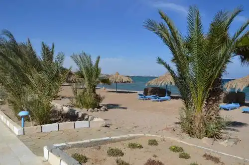 Tobia Beach - 17