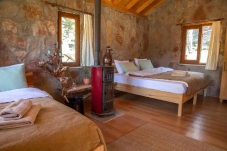 Babakamp Eco Ranch & Retreat - 10