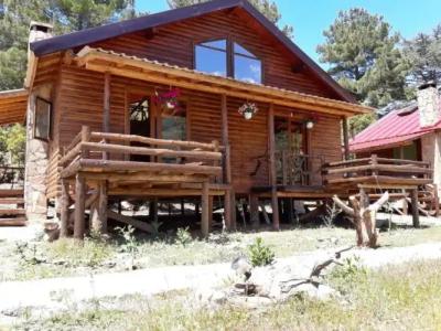 Babakamp Eco Ranch & Retreat - 18