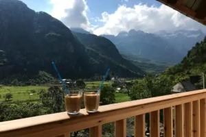 Гостевой дом «Bujtina Ziçi», Тети