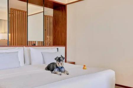 Live Aqua Beach Resort Punta Cana - All Inclusive - Adults Only - 138