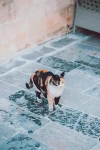 Narlı Ev Butik Otel - 21