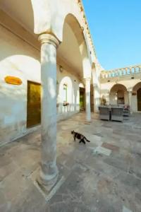 Narlı Ev Butik Otel - 20