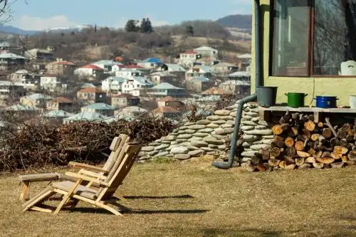 Cozy cottage in countryside close to Tbilisi - 10