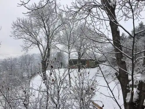 Cozy cottage in countryside close to Tbilisi - 29