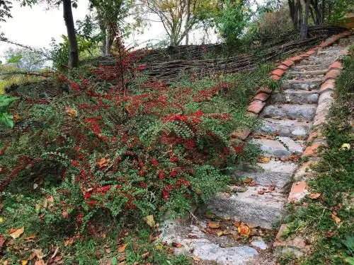 Cozy cottage in countryside close to Tbilisi - 24