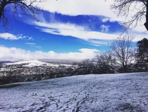 Cozy cottage in countryside close to Tbilisi - 27