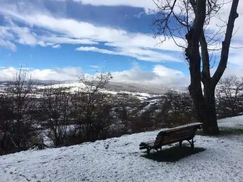 Cozy cottage in countryside close to Tbilisi - 28