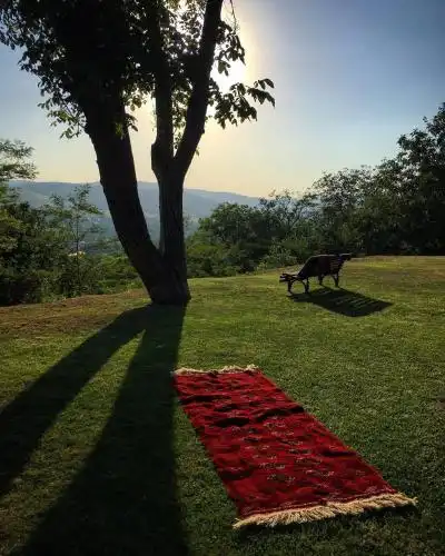 Cozy cottage in countryside close to Tbilisi - 17
