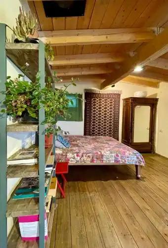 Cozy cottage in countryside close to Tbilisi - 2