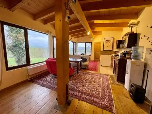 Cozy cottage in countryside close to Tbilisi - 3