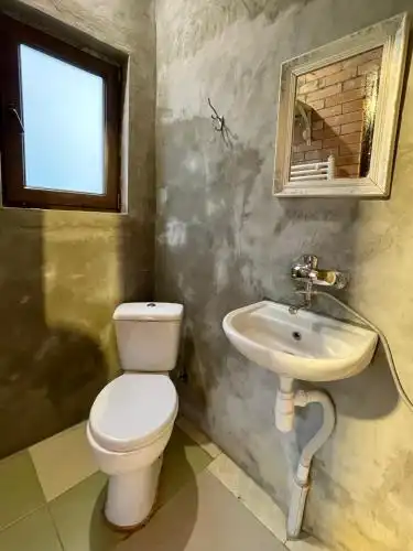Cozy cottage in countryside close to Tbilisi - 8