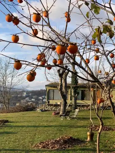 Cozy cottage in countryside close to Tbilisi - 11
