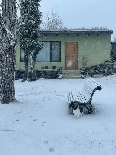 Cozy cottage in countryside close to Tbilisi - 30