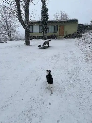 Cozy cottage in countryside close to Tbilisi - 31